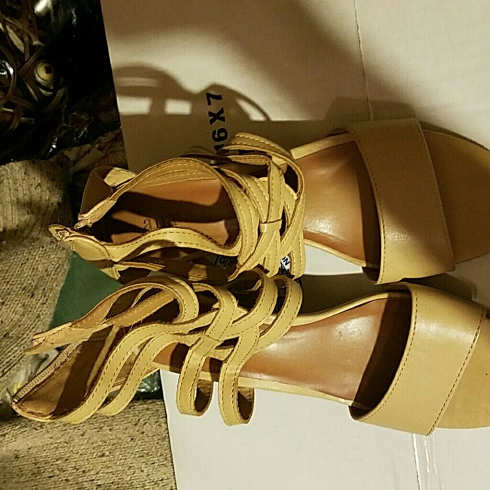 Lady's Shoes